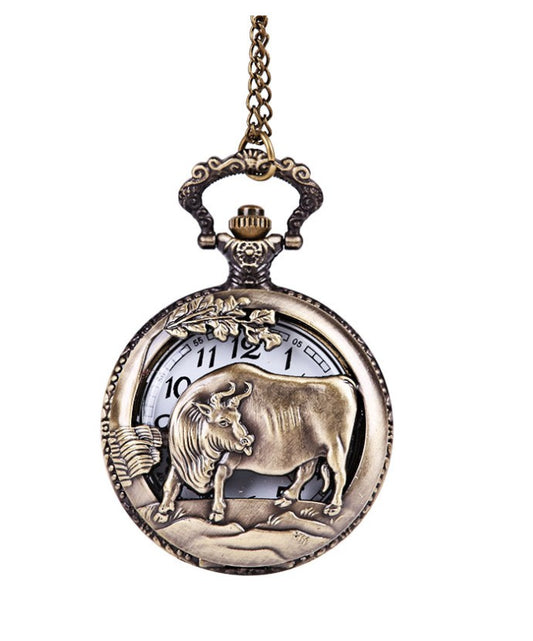 Large bronze classic retro pocket watch