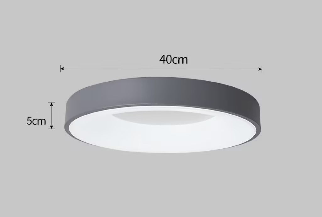 Bedroom light, dining room light, modern simple round lamp