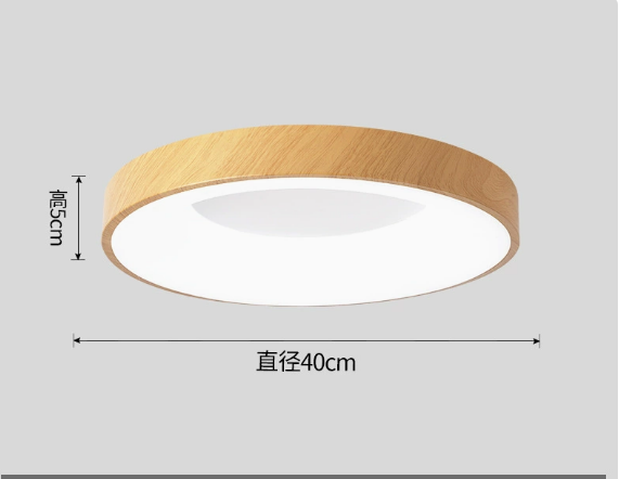 Bedroom light, dining room light, modern simple round lamp
