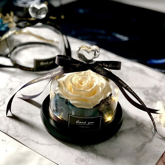 Exclusive Rose in Glass Dome with Lights - Real Rose, Beauty And The Beast Preserved Rosevalentines day gift