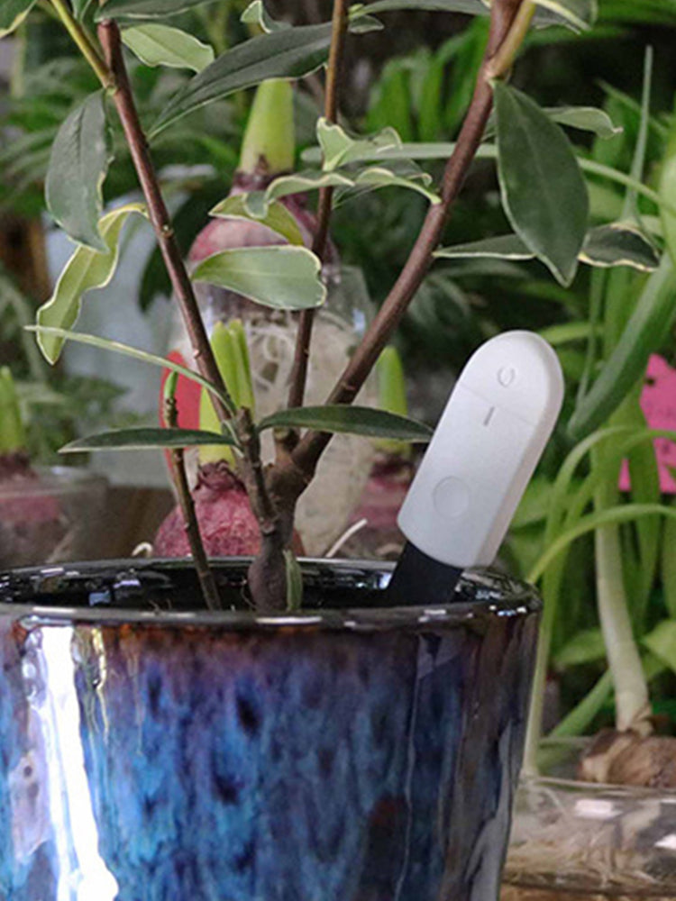 Place Verdmo LED soil sensor in any plant and know when to water save money save water