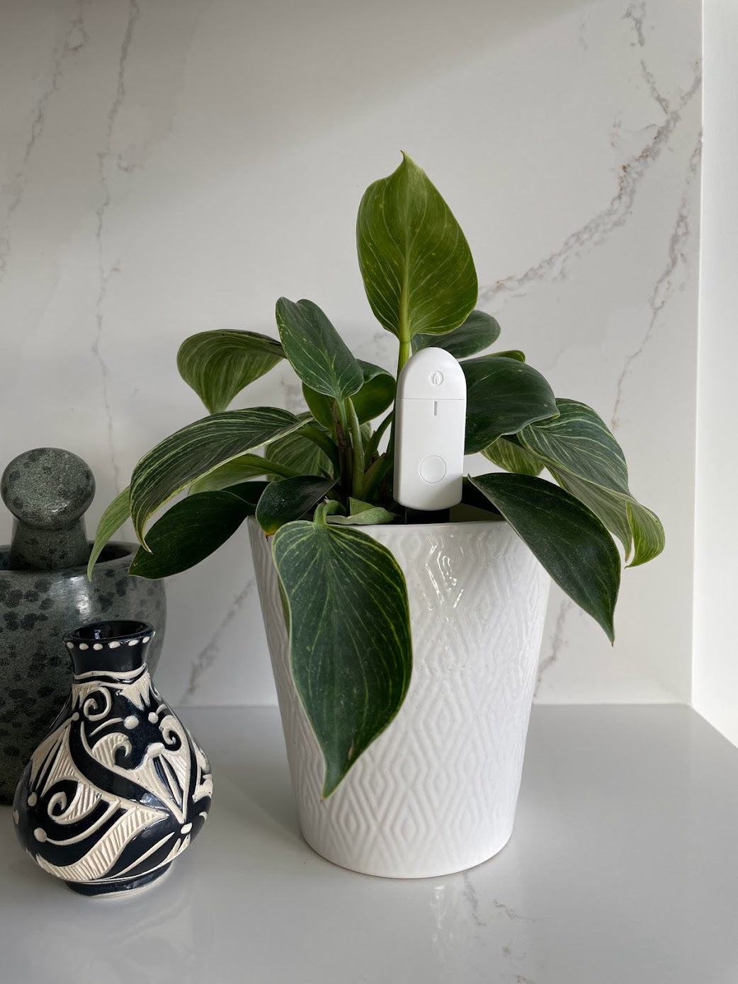 Discreet design that blends in and is easy to use Verdmo Soil Sensor