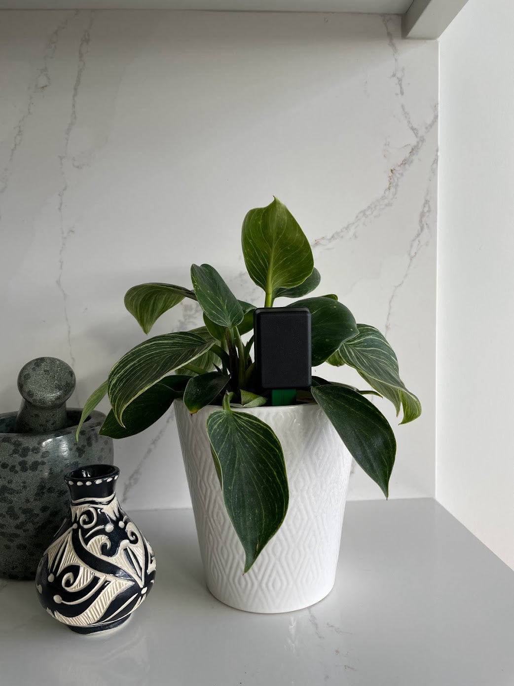 Verdmo wifi indoor soil sensor discreet design easy to use long lasting battery