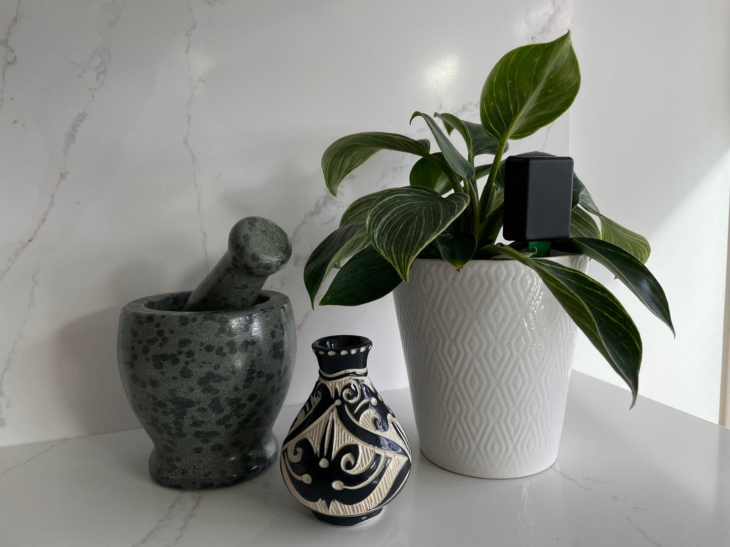 Verdmo indoor wifi sensor perfect for any plant modern design easy to use discreet