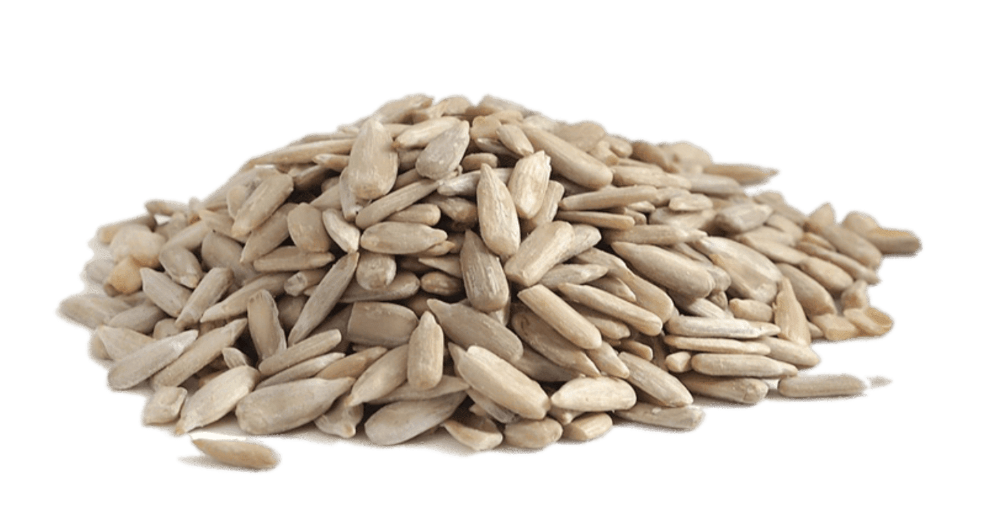 Organic Sunflower Seeds