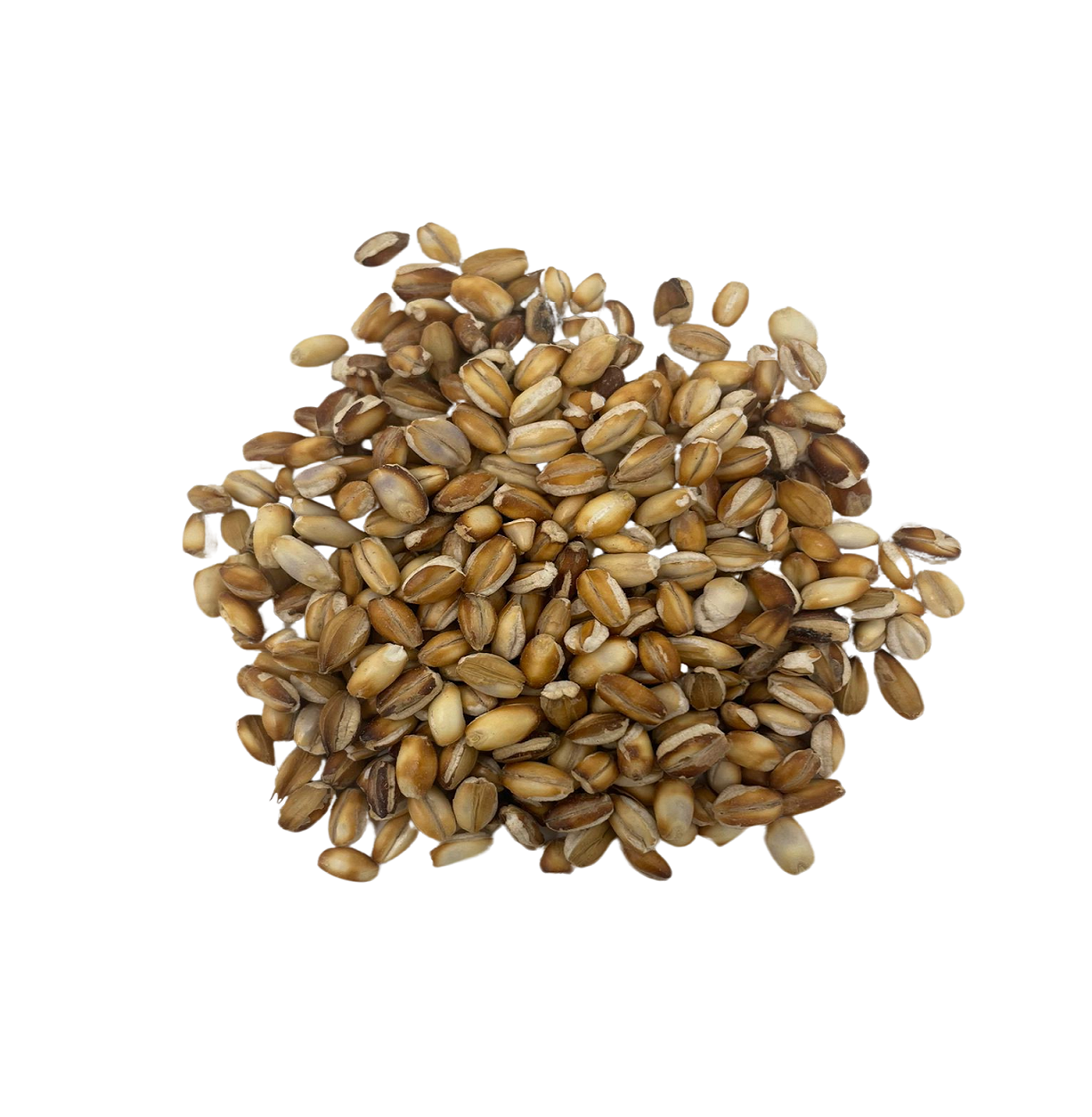 Organic Roasted Barley