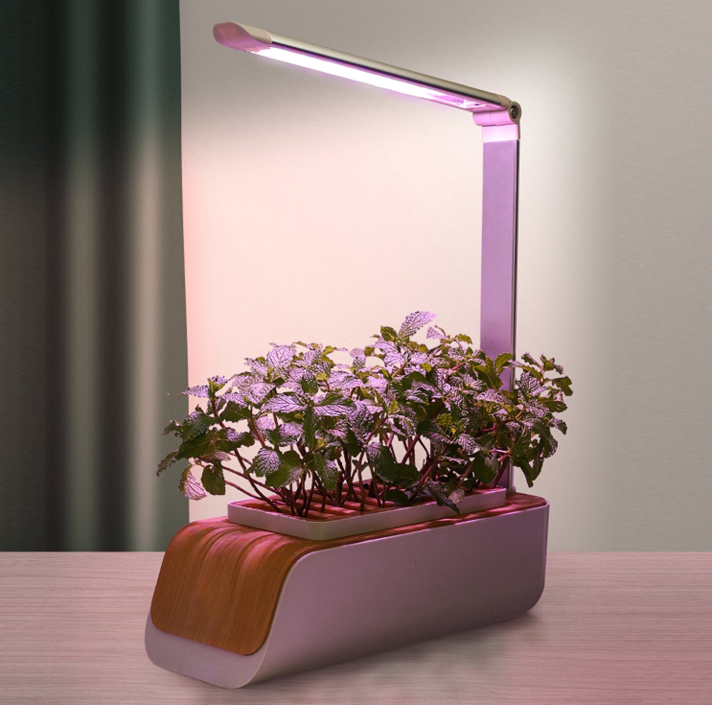 Multiple light modes for the Verdmo smart garden grow anything easily no pods no waste