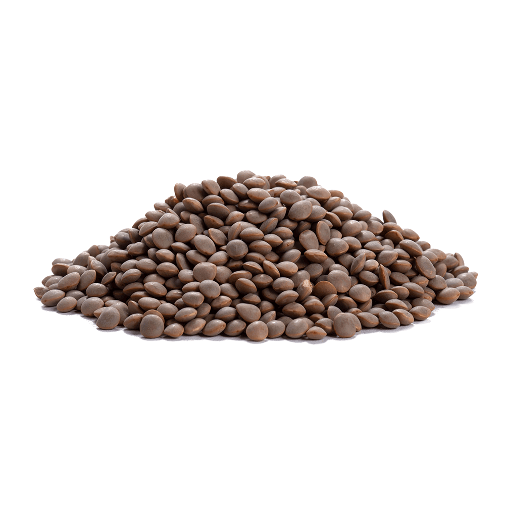 Masoor Matki or Masoor Whole Brown (Crimson Lentils)