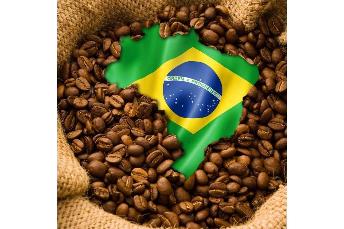 Brazil Santos - Single Origin