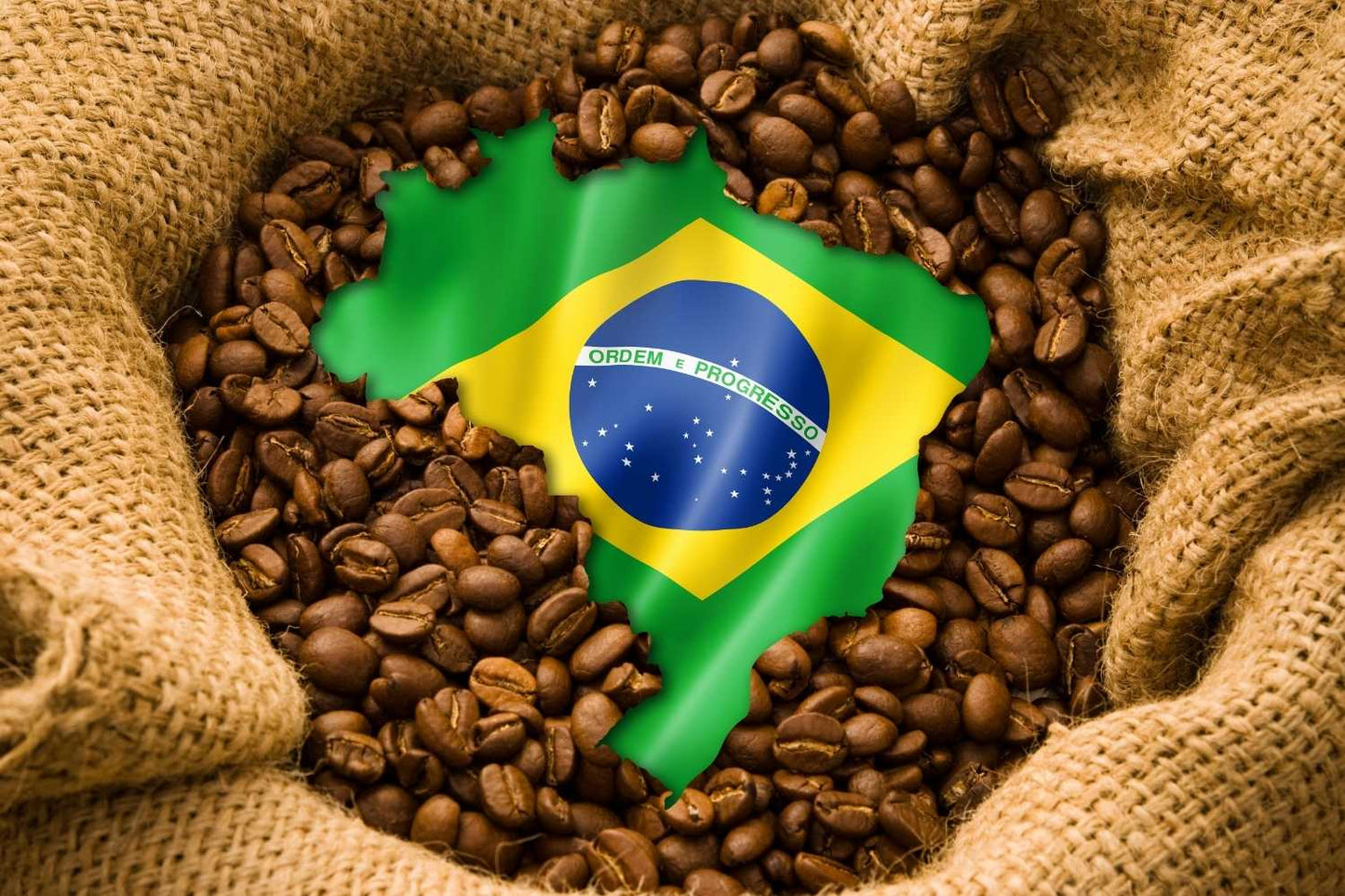 Brazil Santos - Single Origin