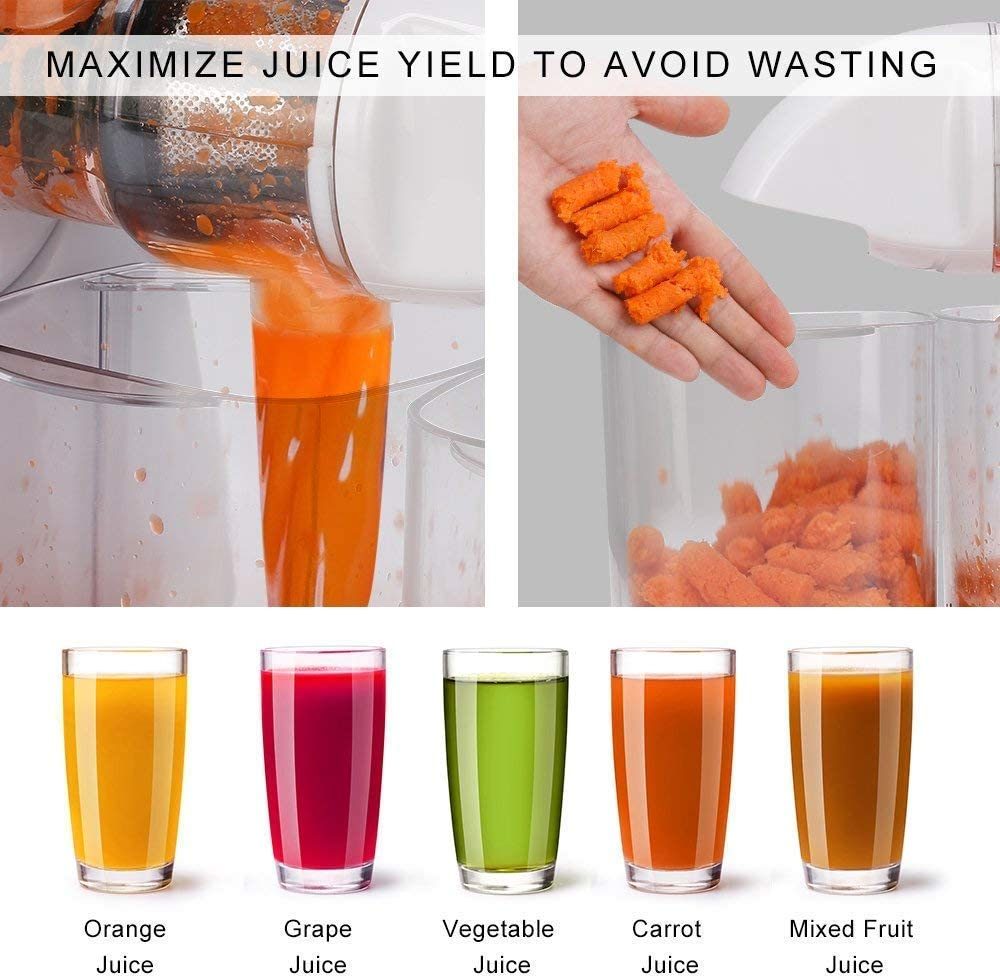 Masticating Juicer with Reversible and Quiet Motor