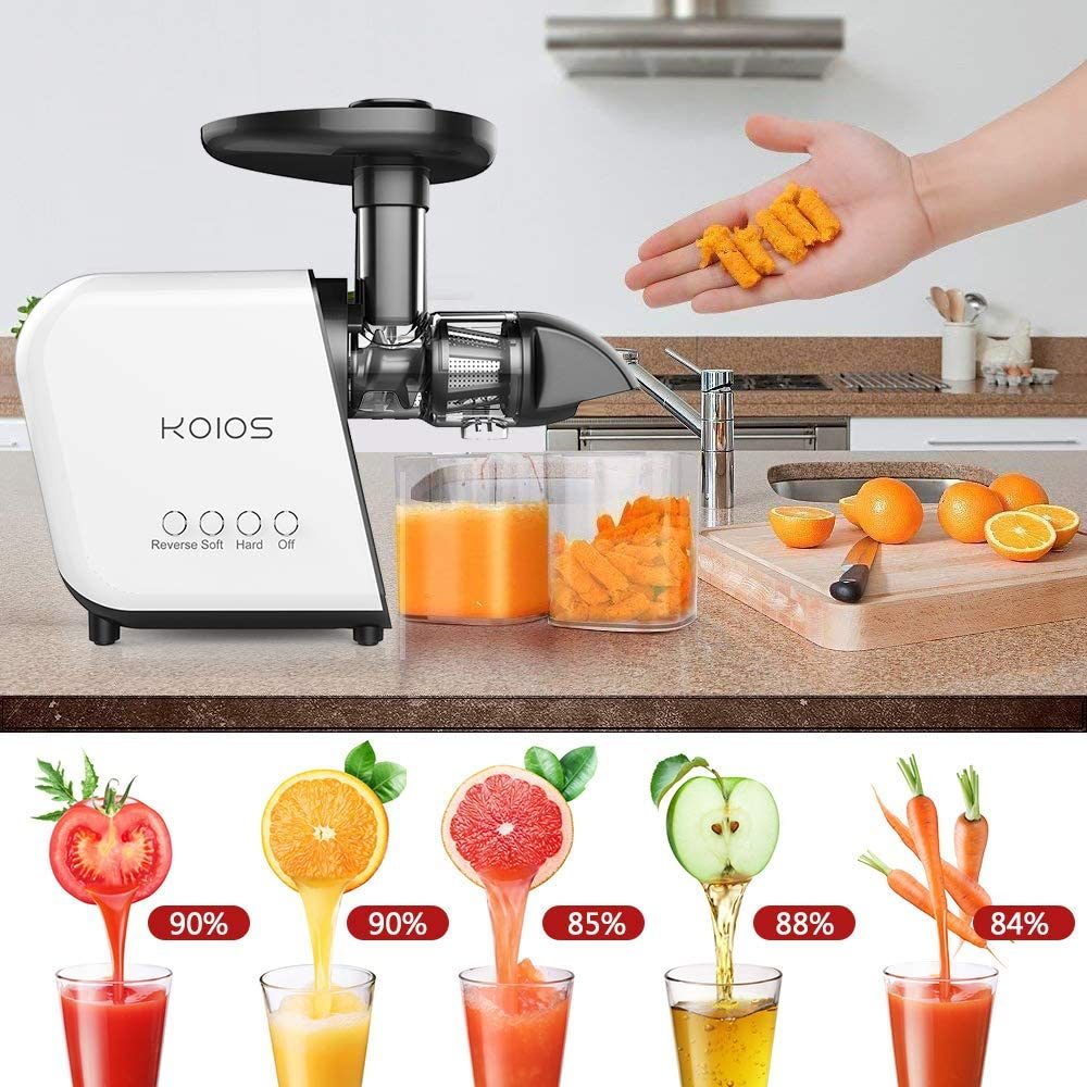 Masticating Juicer with Reversible and Quiet Motor