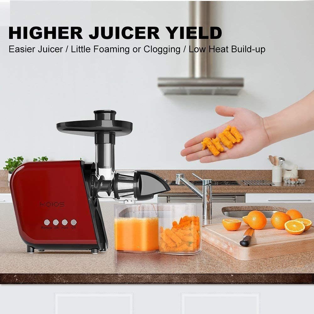 Masticating Juicer with Reversible and Quiet Motor