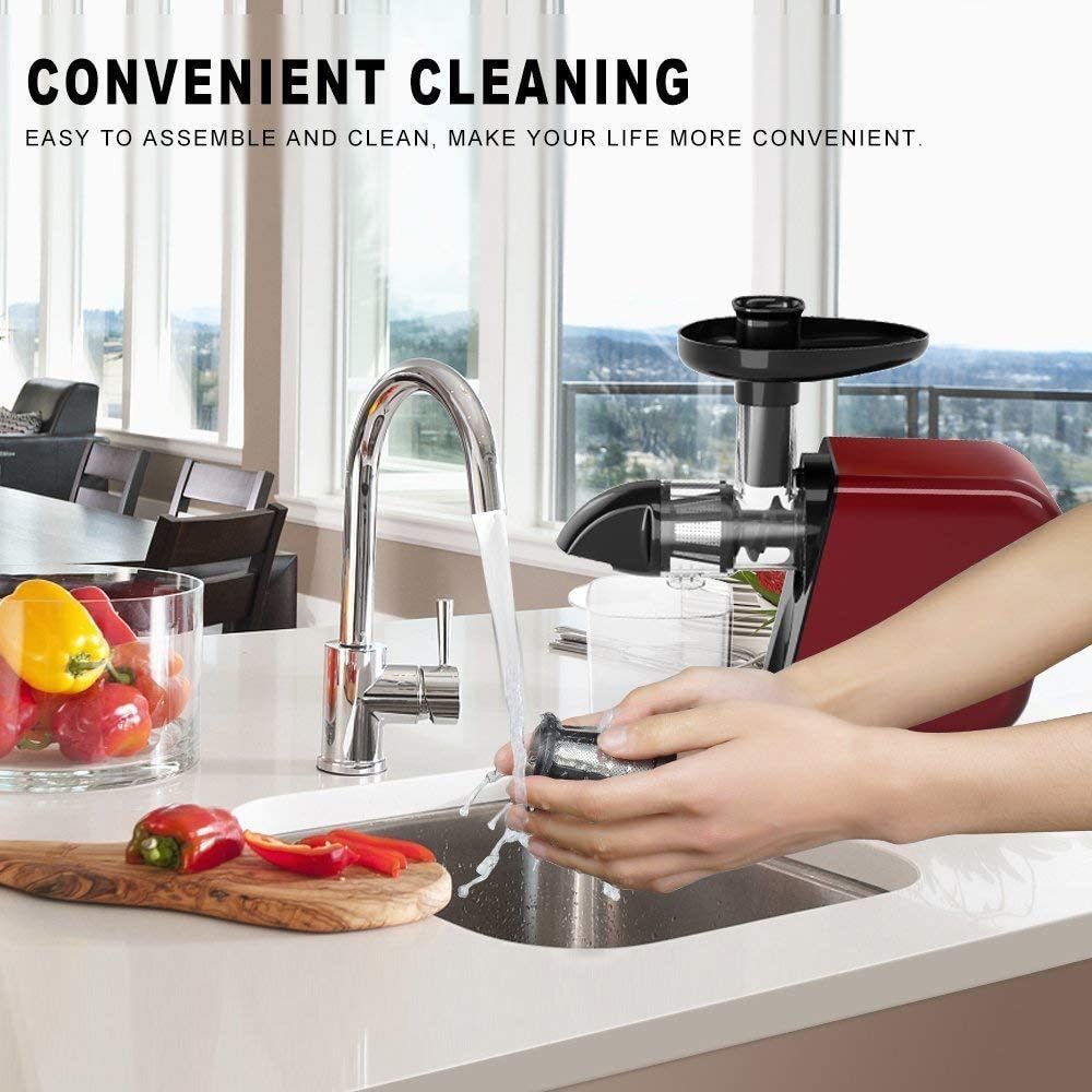 Masticating Juicer with Reversible and Quiet Motor