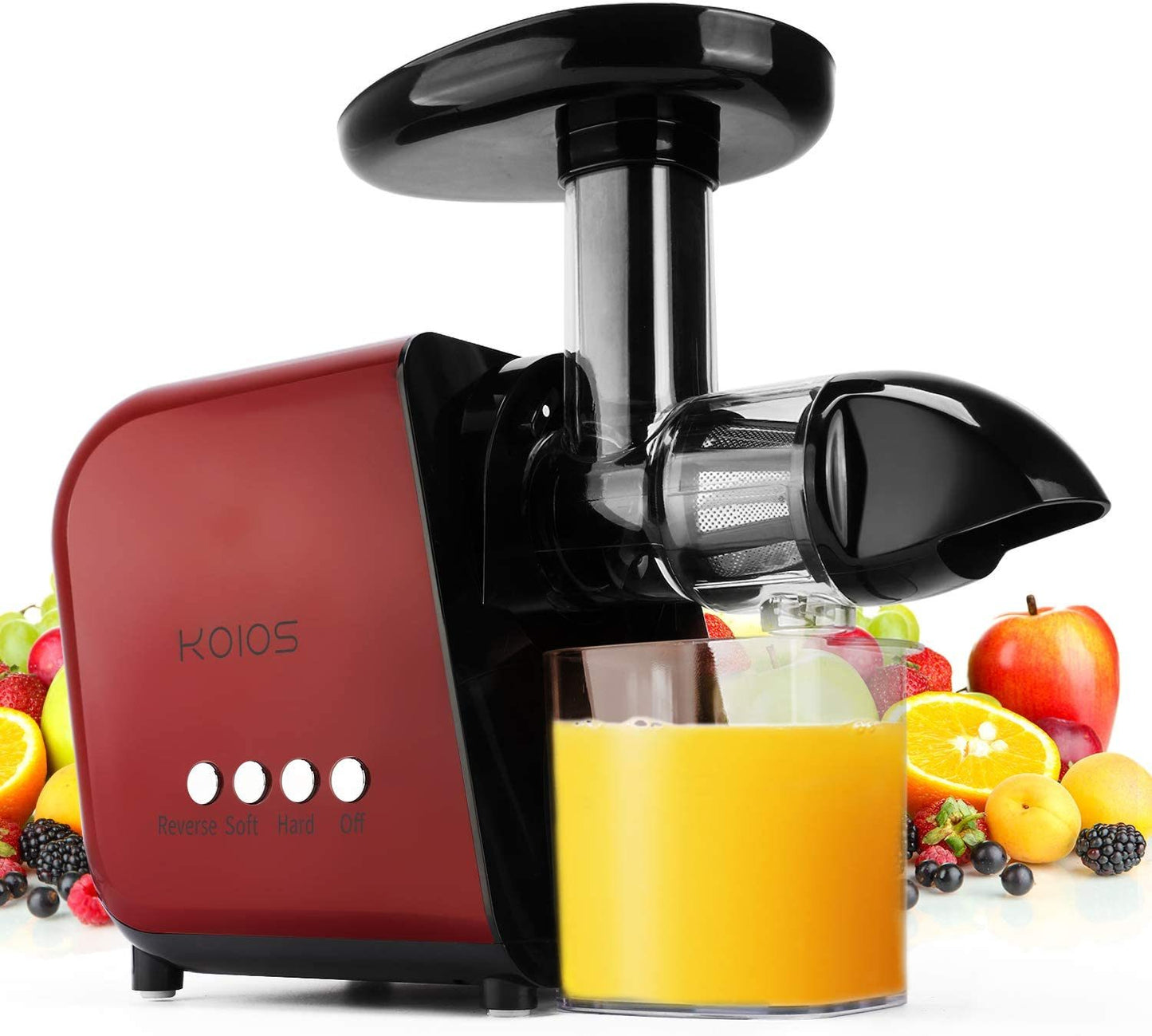 Masticating Juicer with Reversible and Quiet Motor