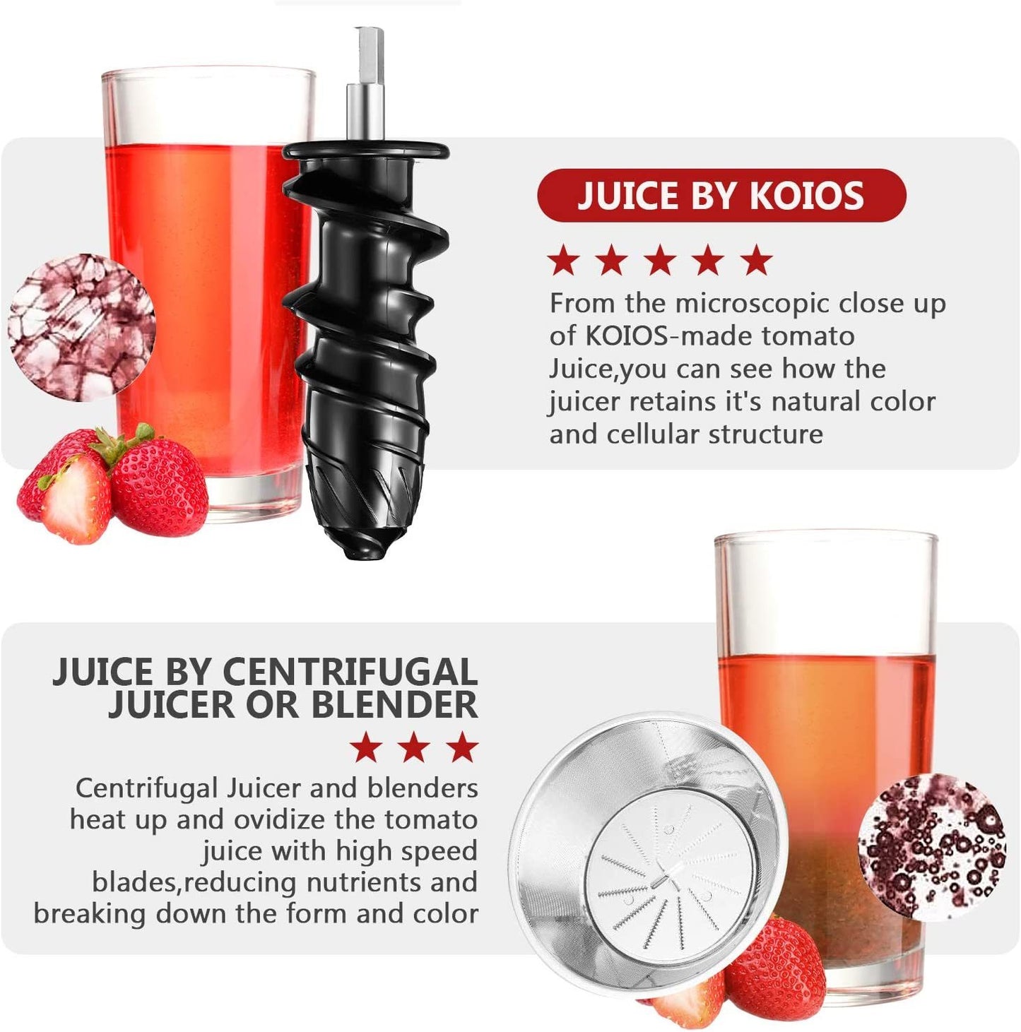 Masticating Juicer with Reversible and Quiet Motor