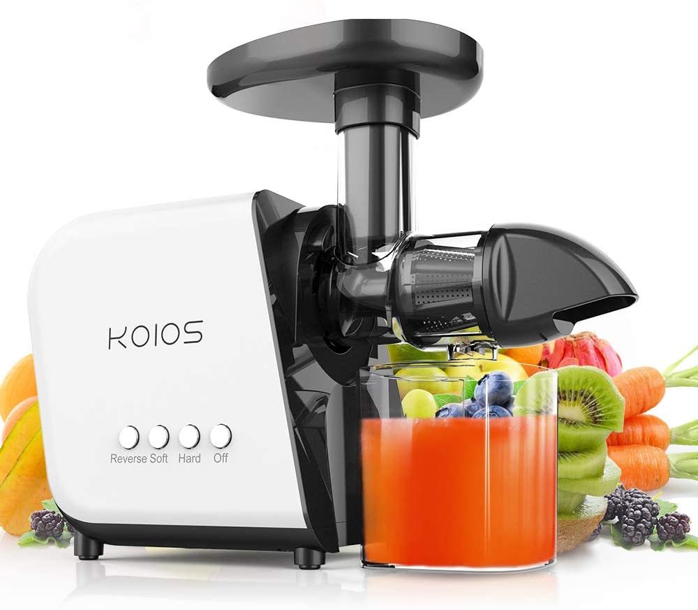Masticating Juicer with Reversible and Quiet Motor