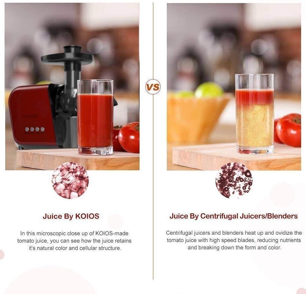 Masticating Juicer with Reversible and Quiet Motor