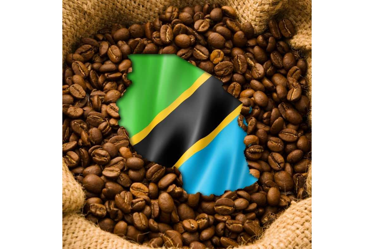 Tanzania - Single Origin